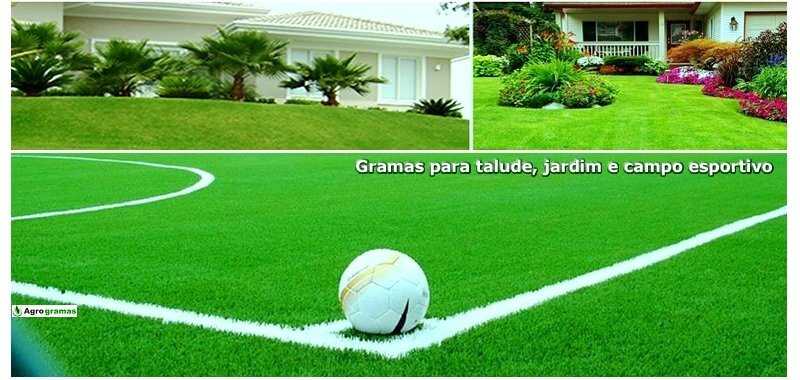 Adubação para gramados de campo de futebol
